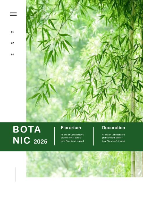 BTVN buổi 1