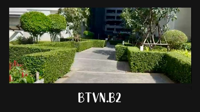 BTVN.B2