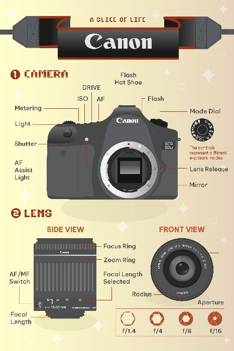 FINAL INFOGRAPHIC