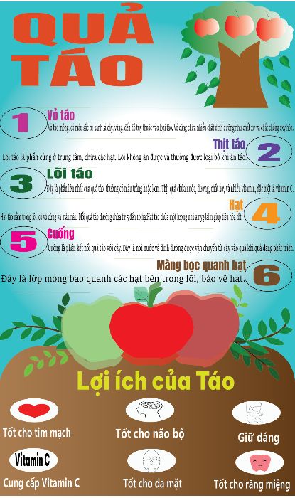 bài tập cuối kỳ