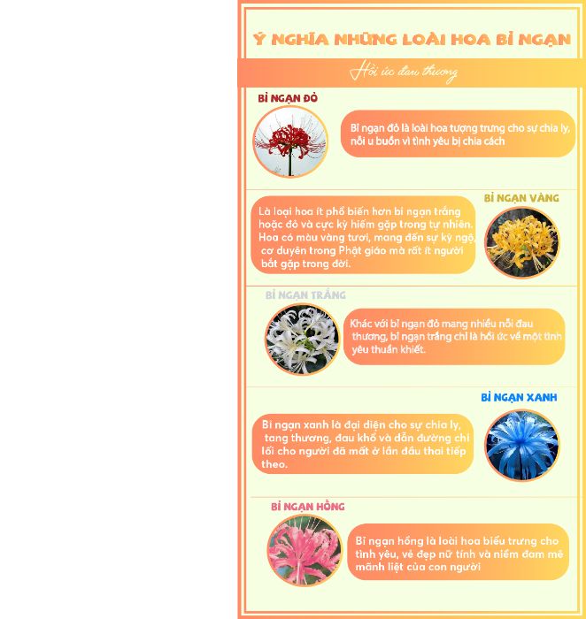 bài tập cuối khóa
