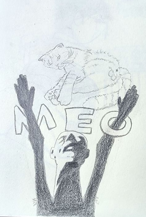 Meo