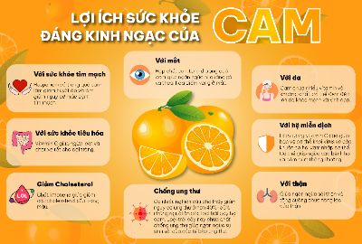 BÀI TẬP CUỐI KỲ