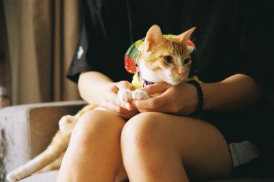 BTVN NHIẾP ẢNH