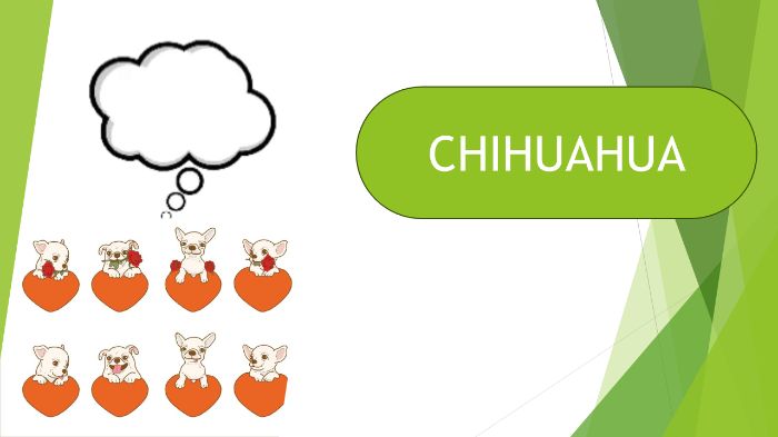 Dựa vào những công cụ đã học trong buổi 2 để tạo slide