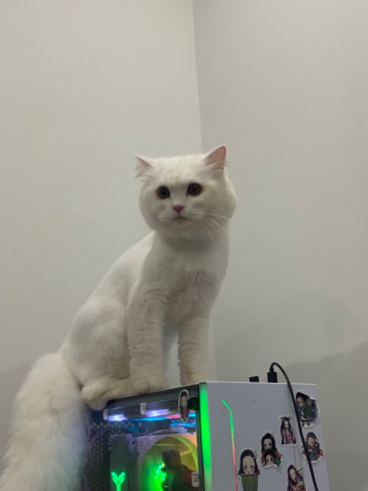 BTVN B4