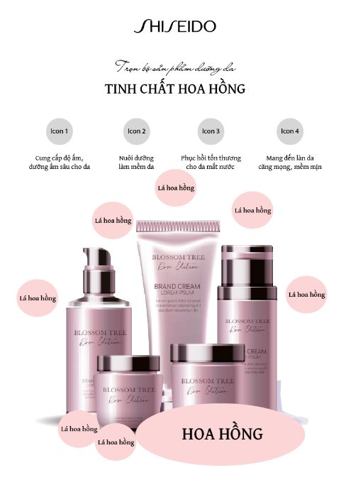 BTVN Buổi 5