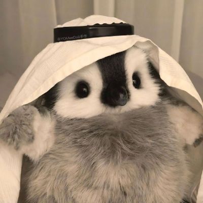 btvn1
