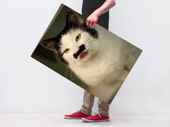 btvn1