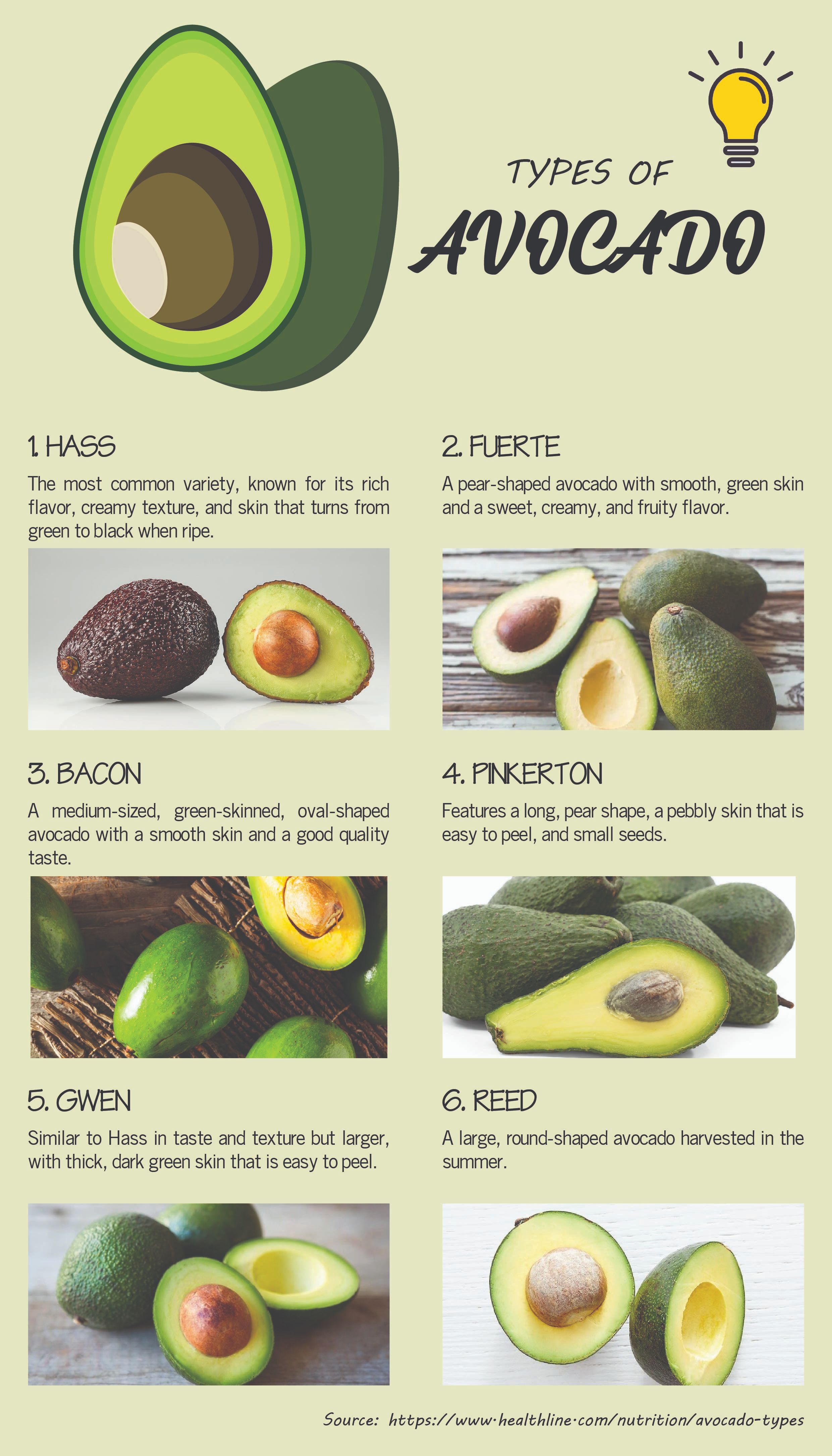 Avocado Infographic