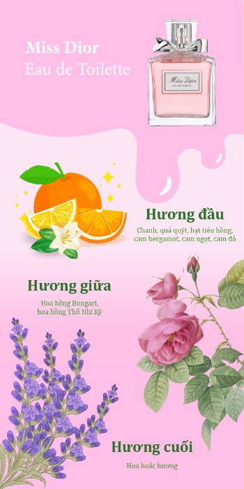 Infographic