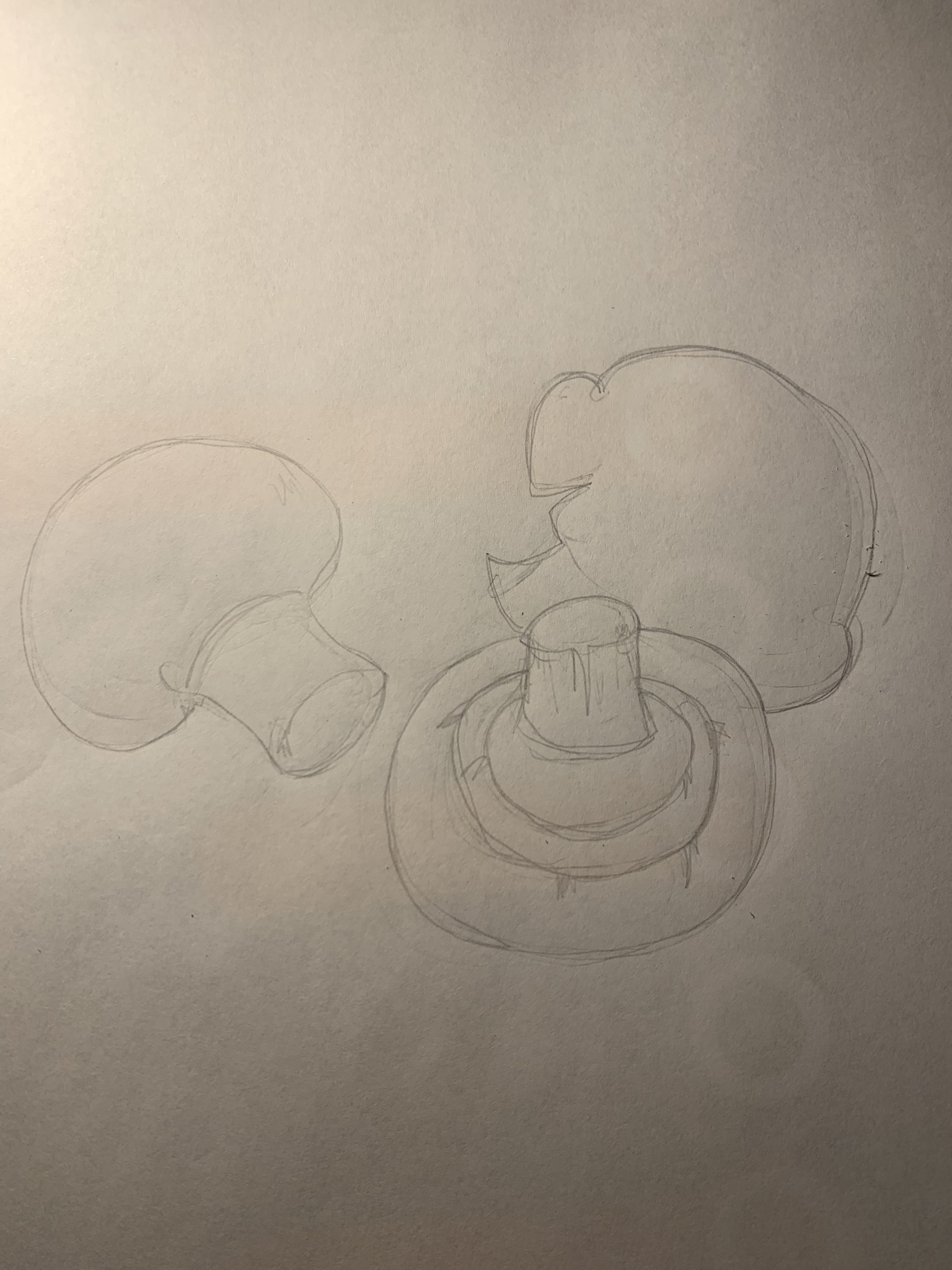 mushrooms