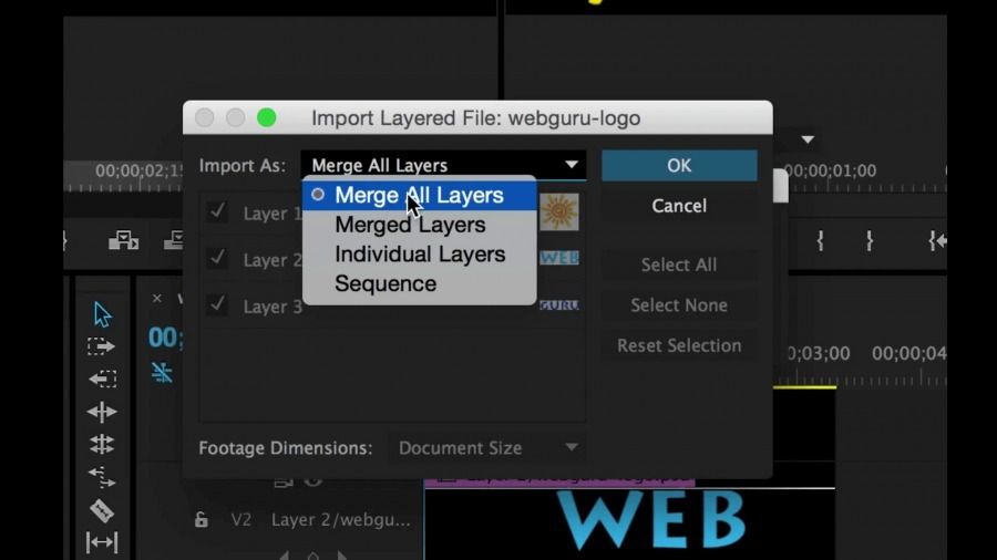 Hộp thoại Import Layered File giúp bạn lựa chọn các cách thức đưa file vào project