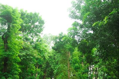 Công viên Thống Nhất