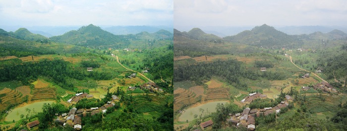 Before- After
