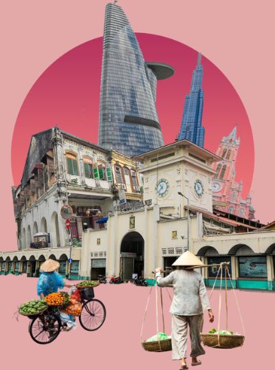 tường vi