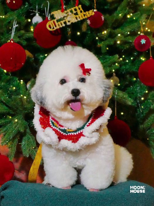 Lộc Nguyễn - BTVN 1