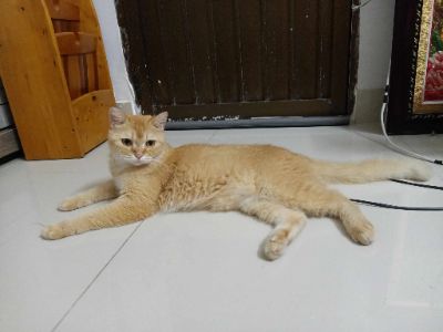 PHẠM THỊ KIM NGÂN - BÀI TẬP THỰC HÀNH 1