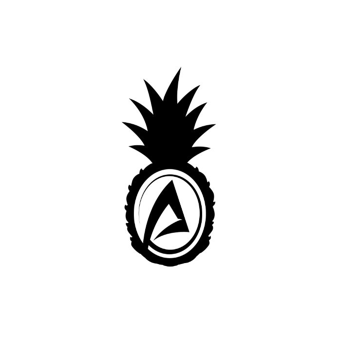 minipai logo