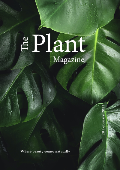 Bài kết thúc môn Indesign