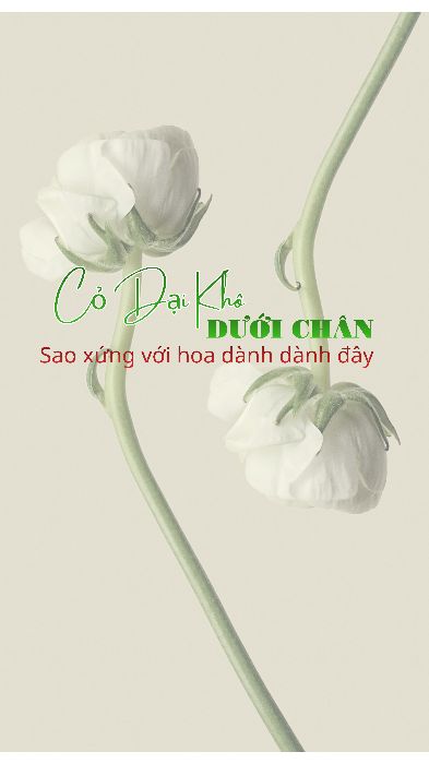 Thái Thị Bích Hoài - B2