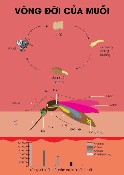 nhớ Căng Màn khi ngủ