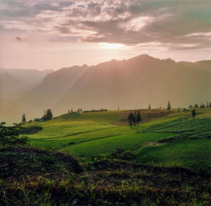 Bài tập giữa kỳ