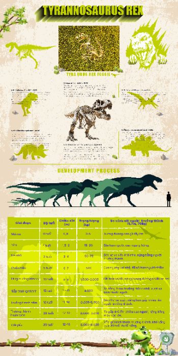 INFOGRAPHIC