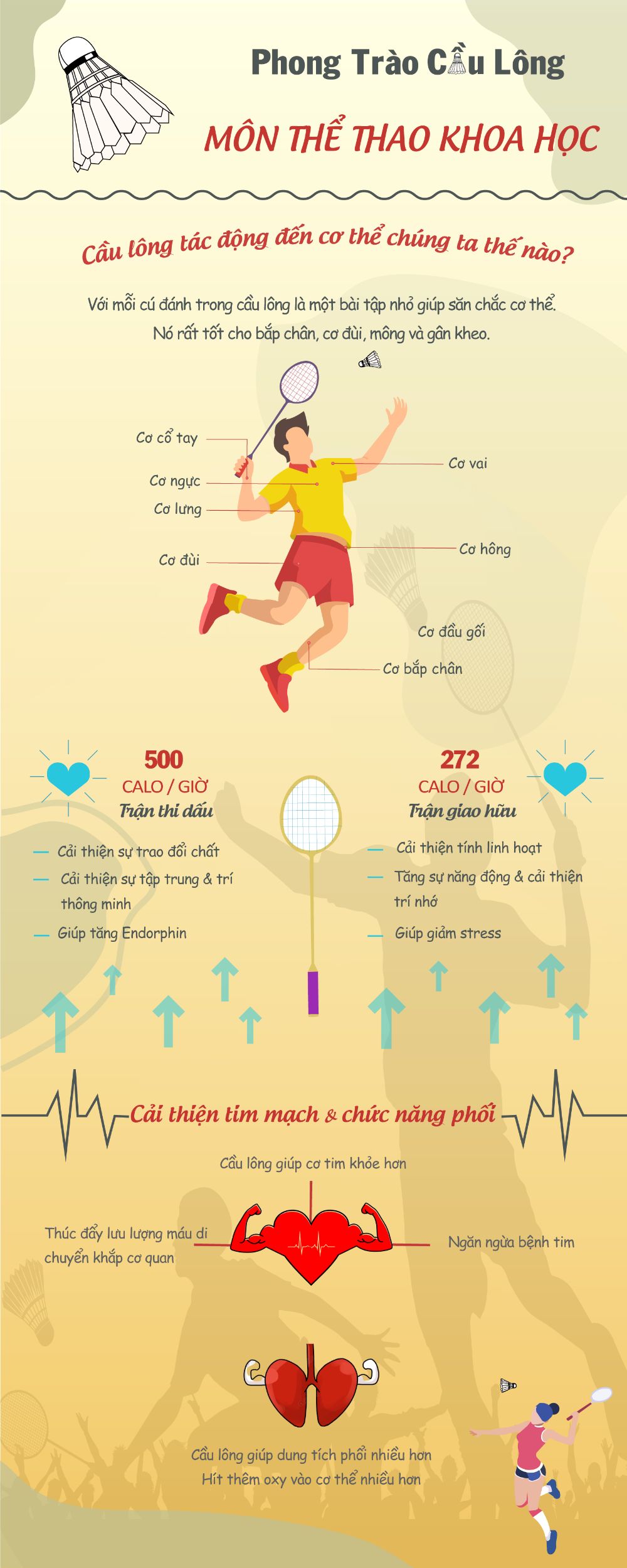 Infographic Badminton