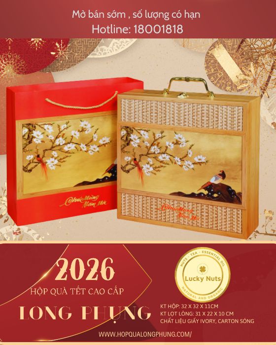 Đinh Huệ - BTVN hộp quà tết