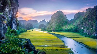 Bùi Bảo Linh AI 99.911 SG
