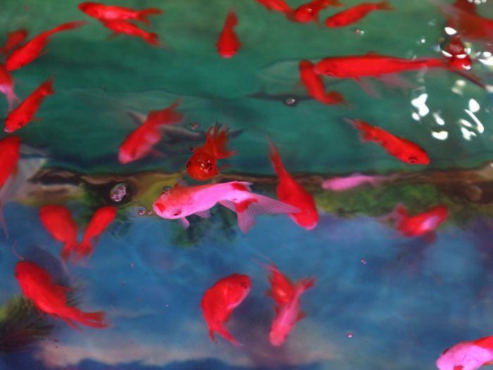 Bài tập buổi 1