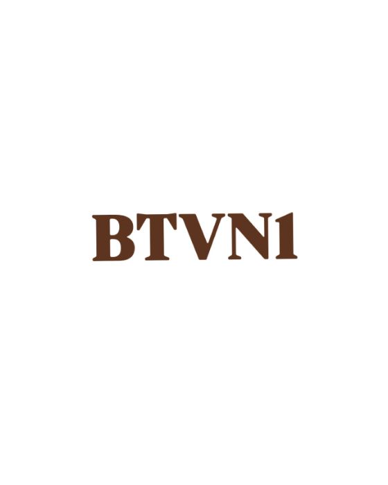 BTVN1