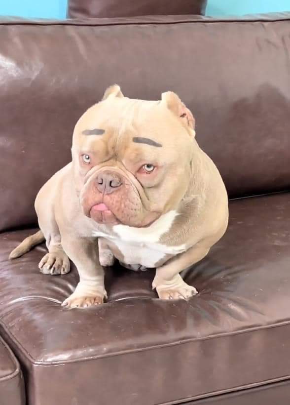 btvn4