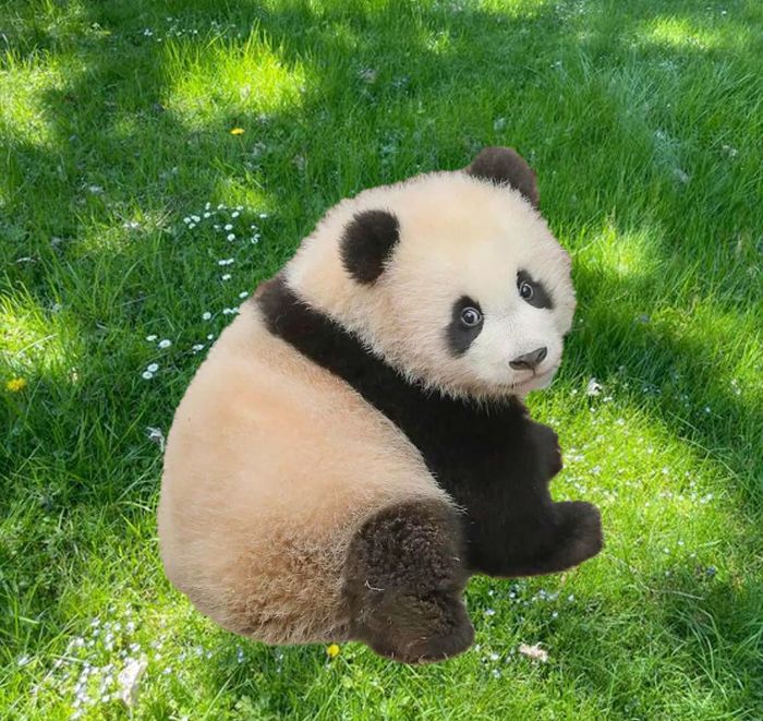 Bài tập buổi 1