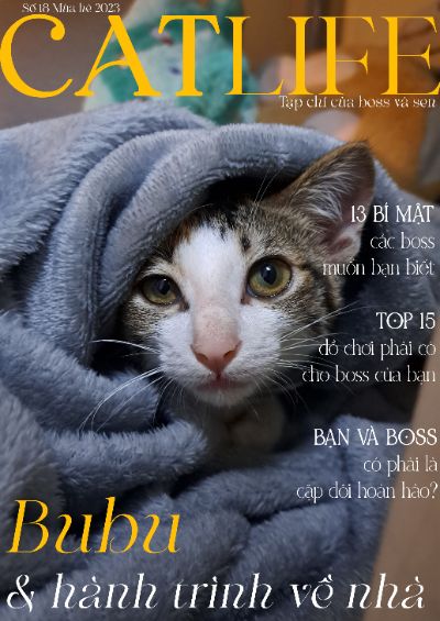 BTVN buổi 3