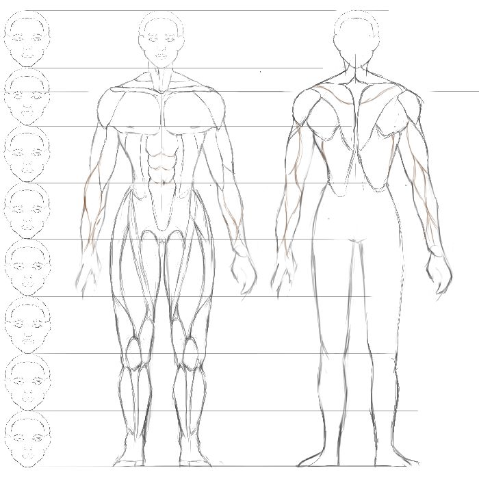 Cơ dưới em k có wacom em chưa oánh đc mặt sau chị ạ cho em nợ T.T