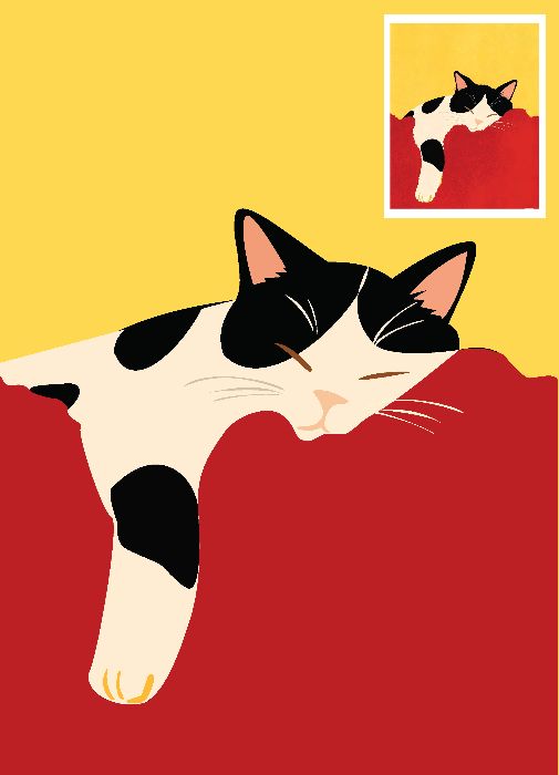 cat