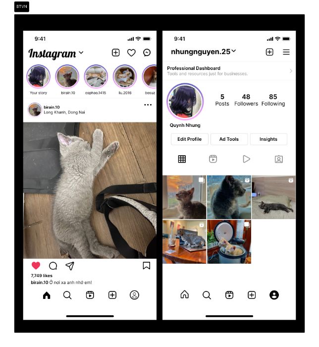 Newfeed and Profile Instagram