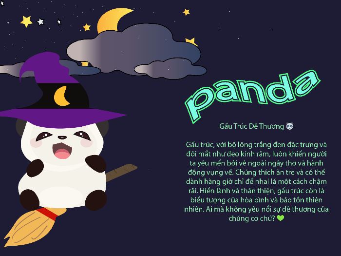 bài giữa kì