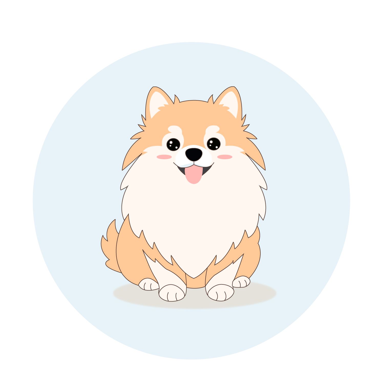 #ChunPomeranian