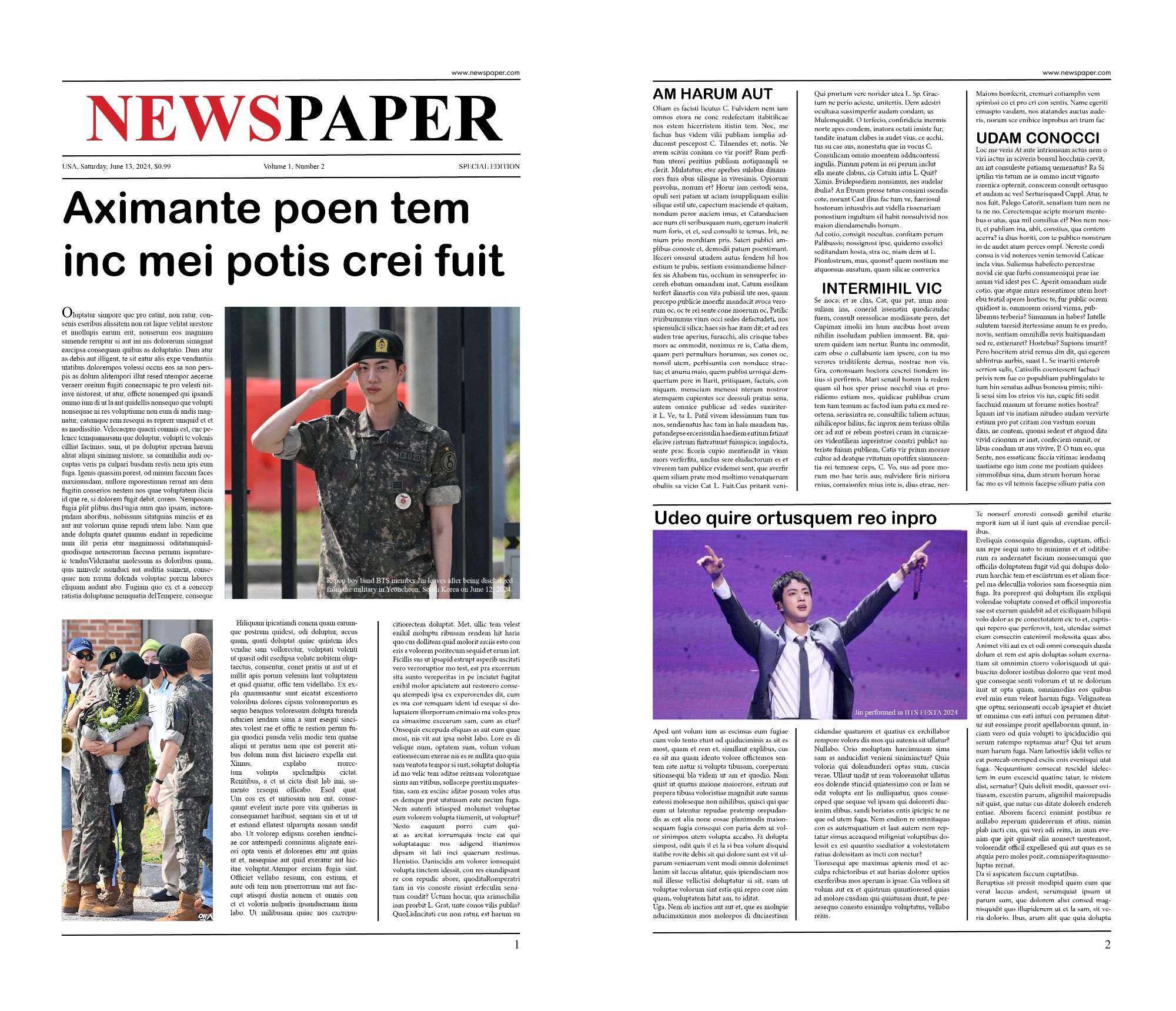Newspaper