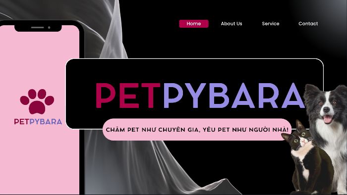 [BT CUỐI KHOÁ] - Vũ Yến Xuân