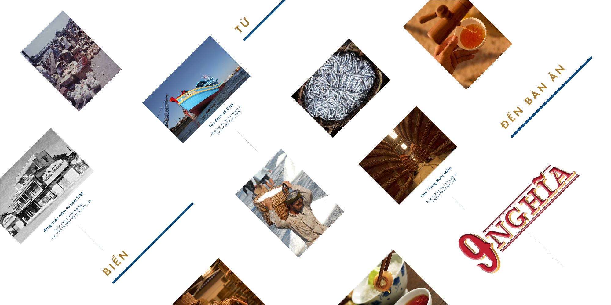 Portfolio on Color ME