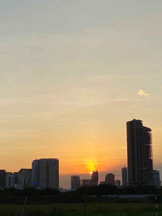 BTVN Cuối Kỳ