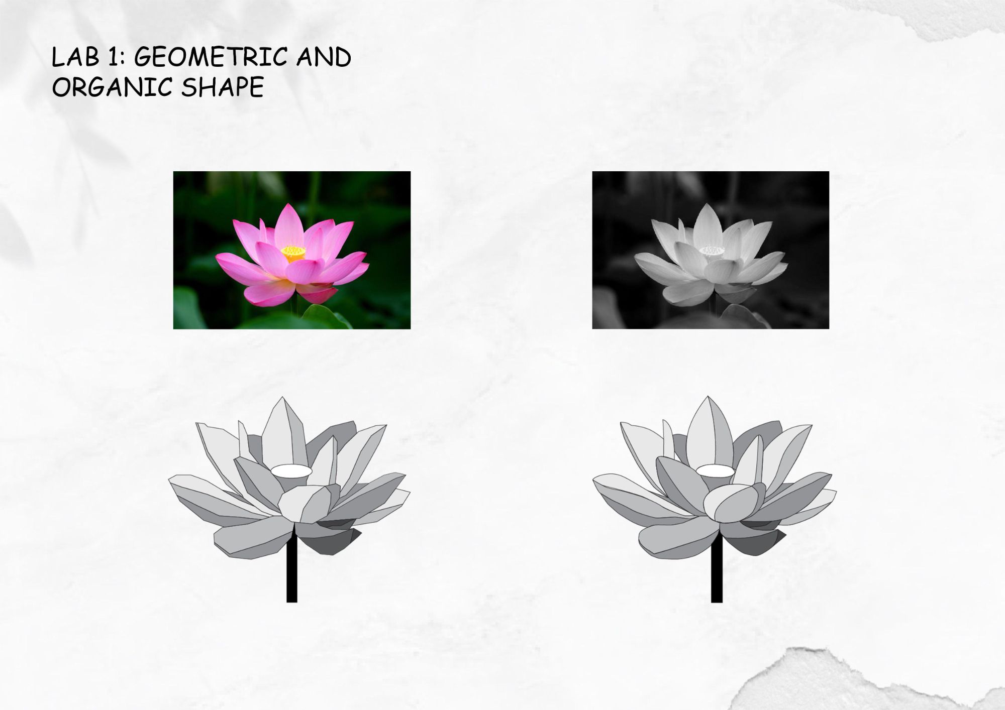 Portfolio on Color ME