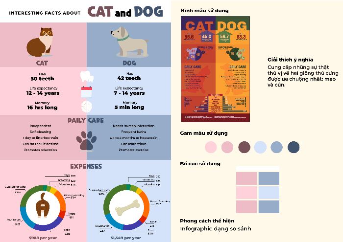 BTCK Infographic
