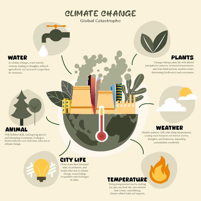 Infographic