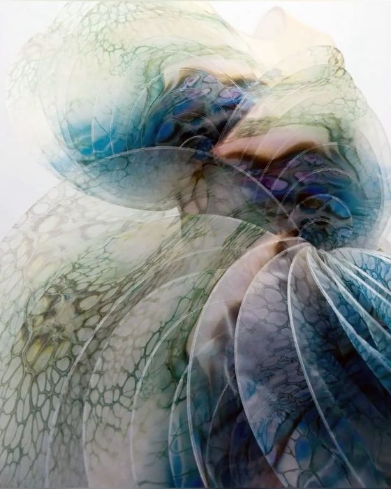 Vũ Thị Phương Anh