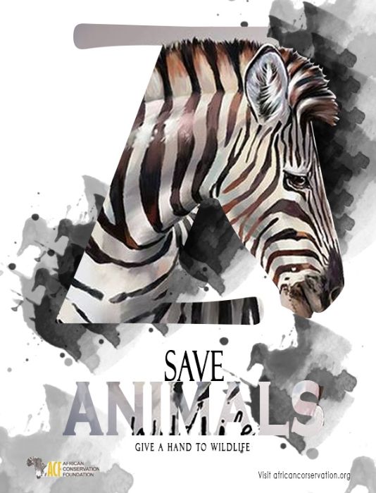 bt buổi 5 - clipping mask poster